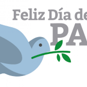 paz imagen